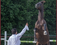 2-13JUIN 0248